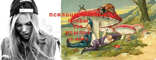 крисы Беломорск