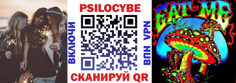 Галлюциногенные грибы Psilocybe Верея